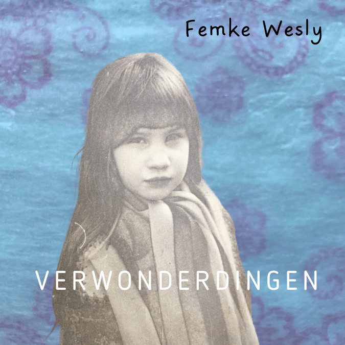 Verwonderdingen - Femke Wesly